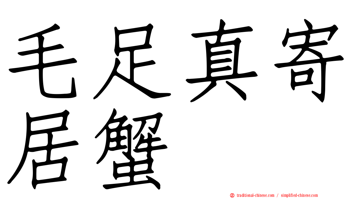 毛足真寄居蟹