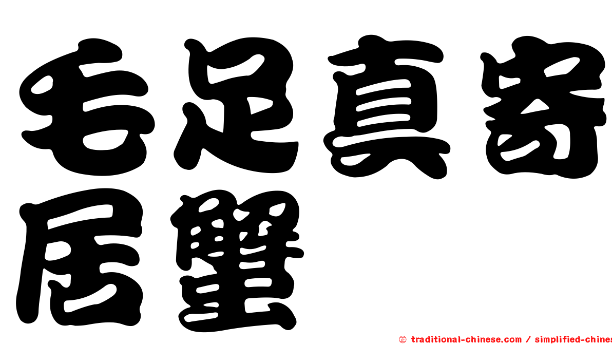 毛足真寄居蟹