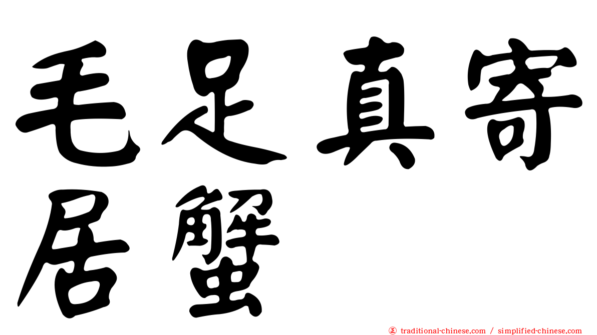毛足真寄居蟹