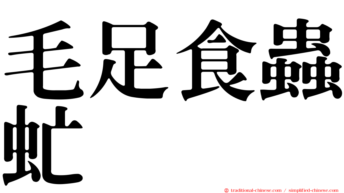 毛足食蟲虻