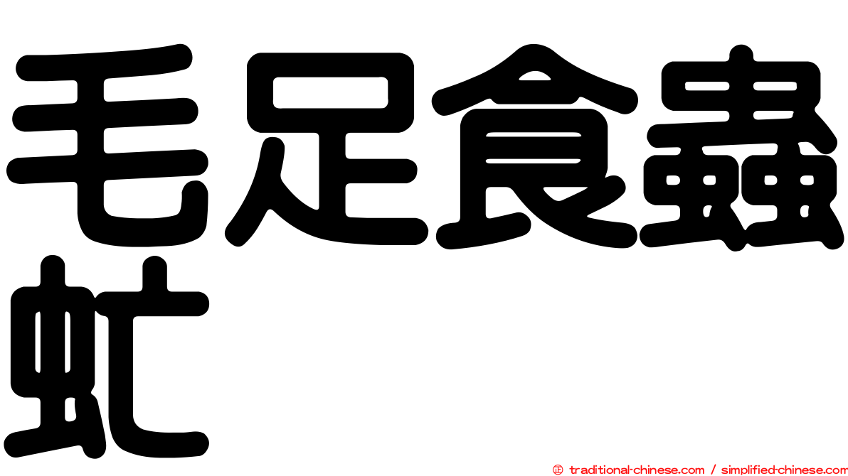 毛足食蟲虻