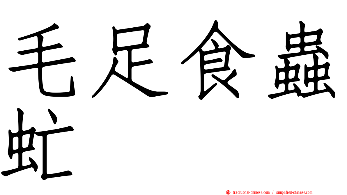 毛足食蟲虻