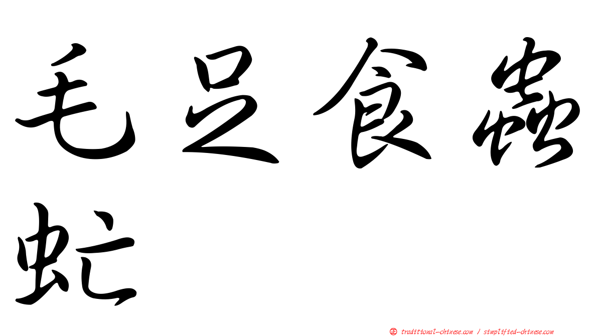 毛足食蟲虻