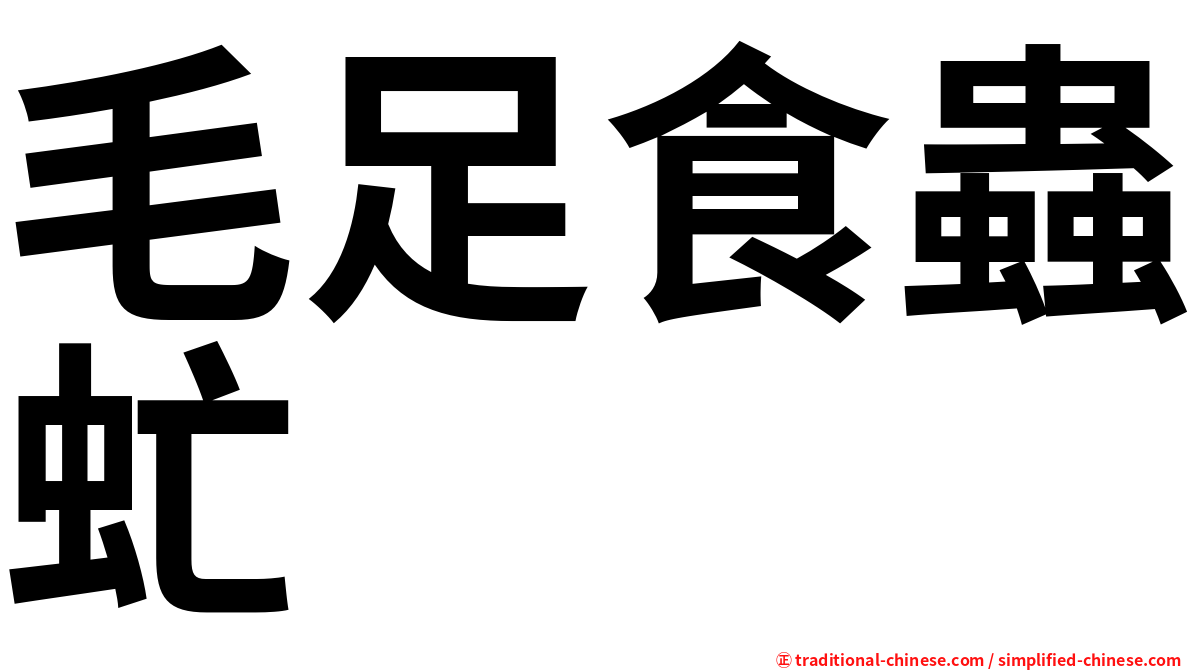 毛足食蟲虻