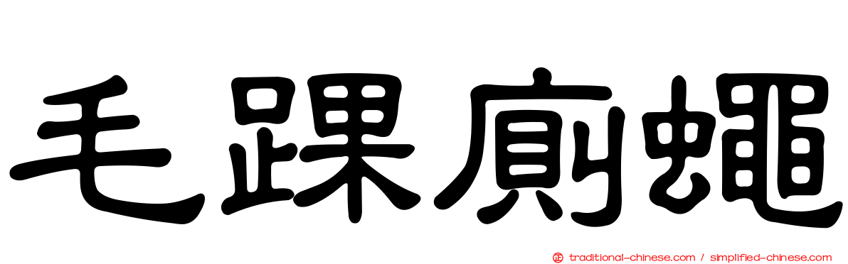 毛踝廁蠅