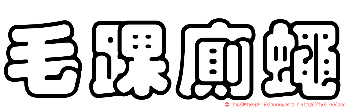 毛踝廁蠅