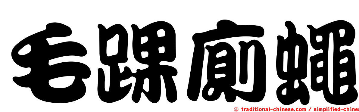 毛踝廁蠅