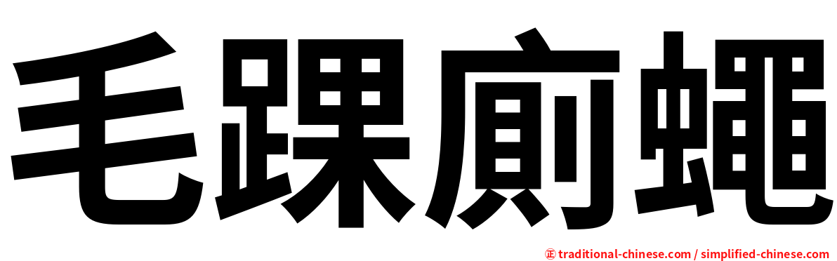 毛踝廁蠅
