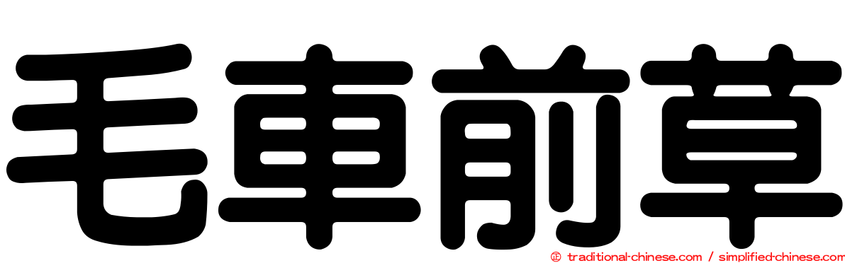 毛車前草