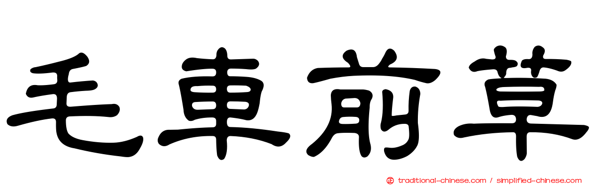 毛車前草