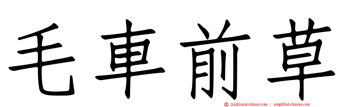 毛車前草
