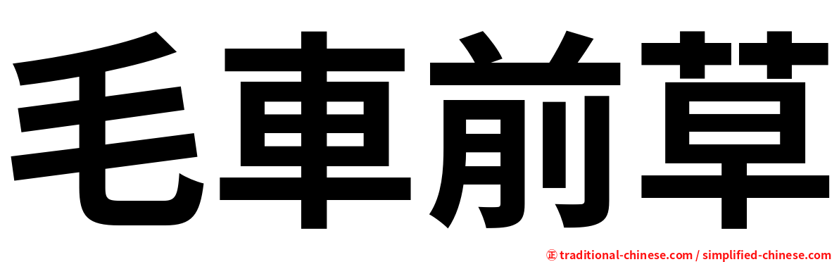 毛車前草
