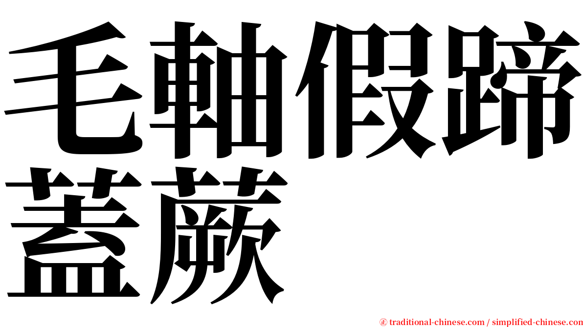 毛軸假蹄蓋蕨 serif font