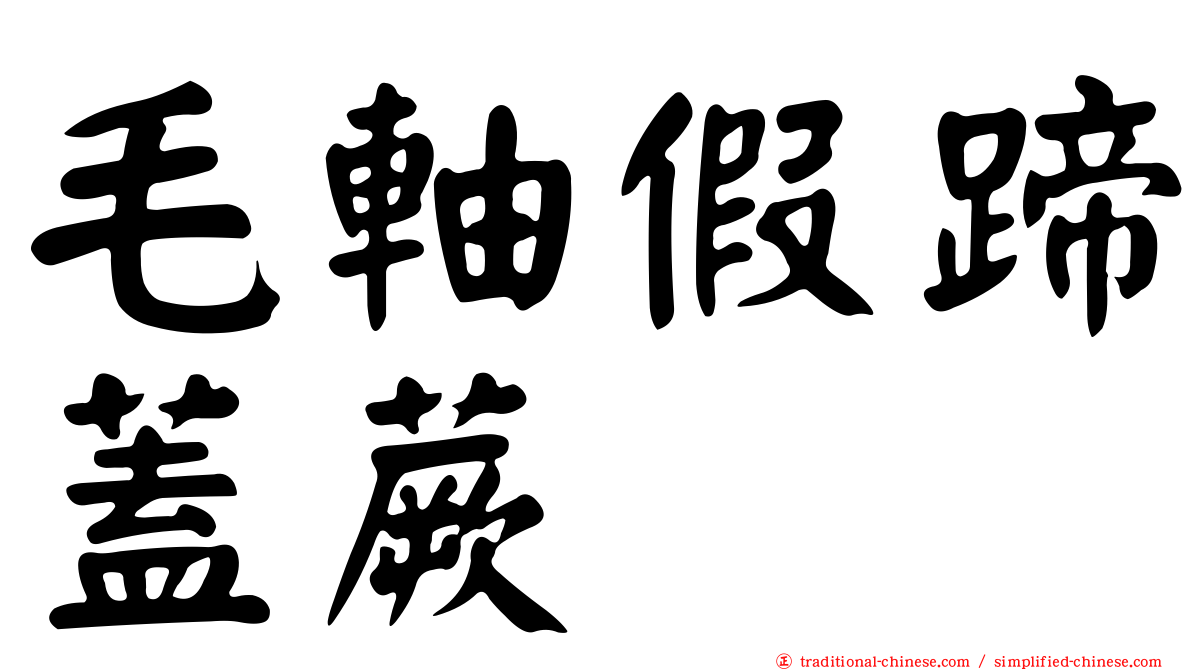 毛軸假蹄蓋蕨