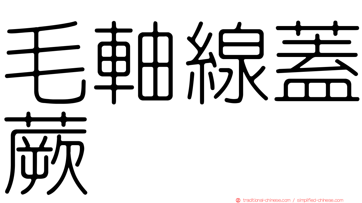 毛軸線蓋蕨