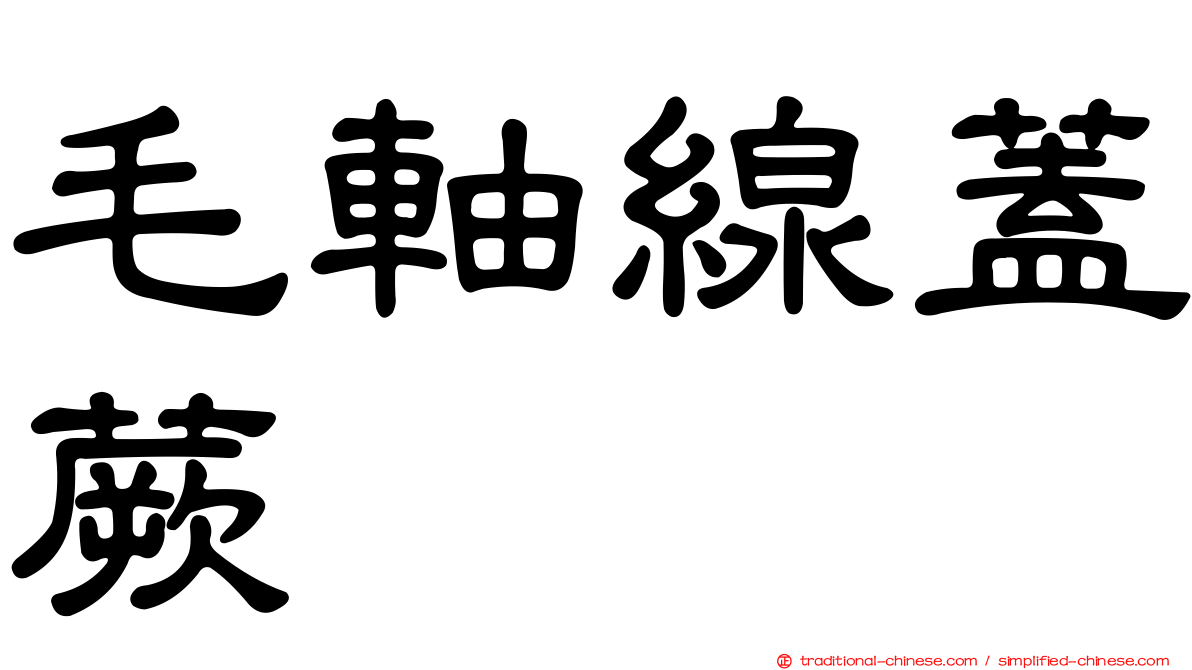 毛軸線蓋蕨