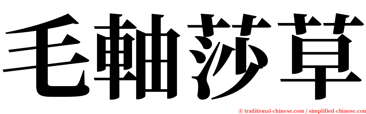 毛軸莎草 serif font