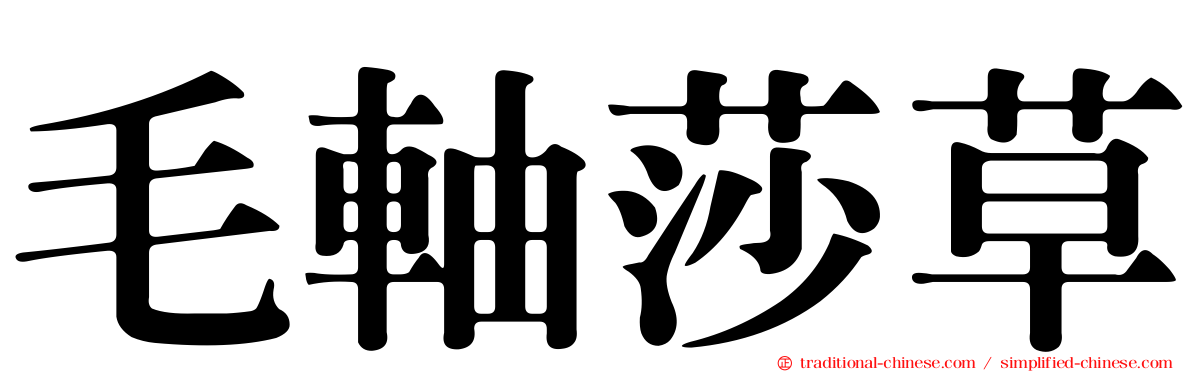 毛軸莎草