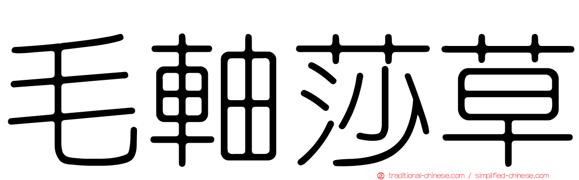 毛軸莎草