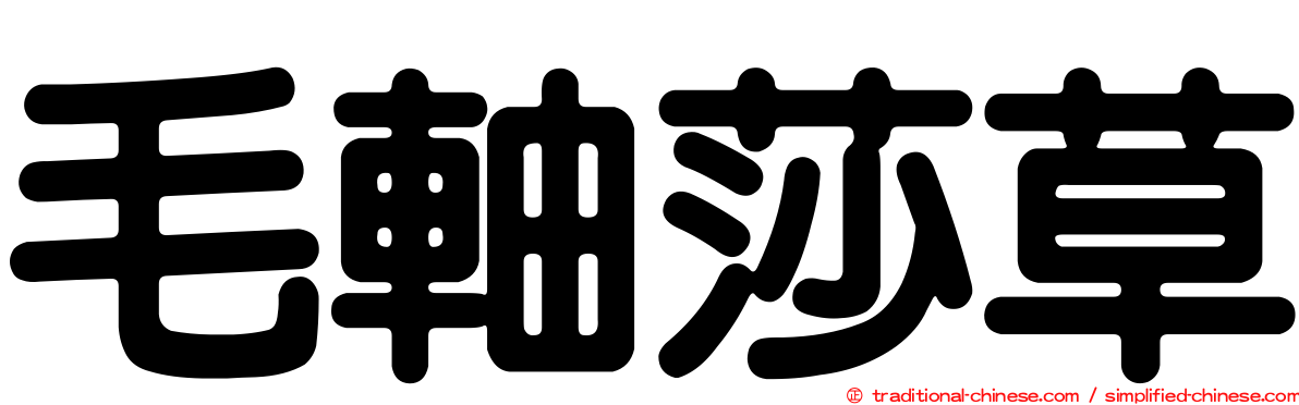 毛軸莎草