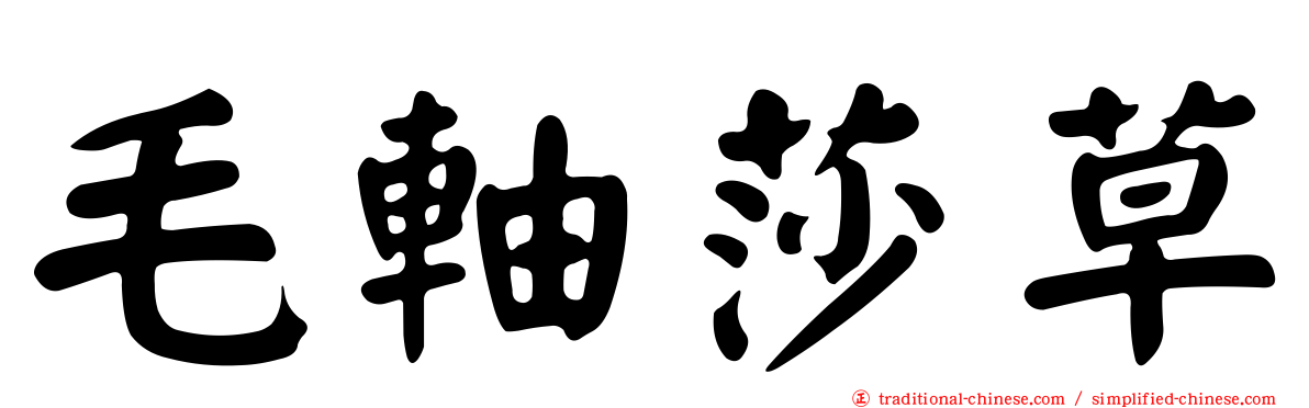毛軸莎草