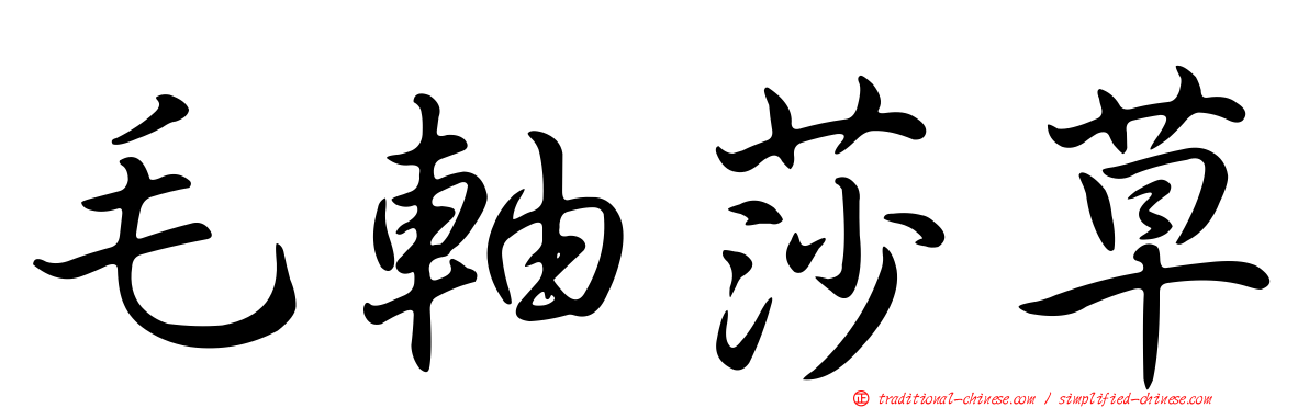 毛軸莎草