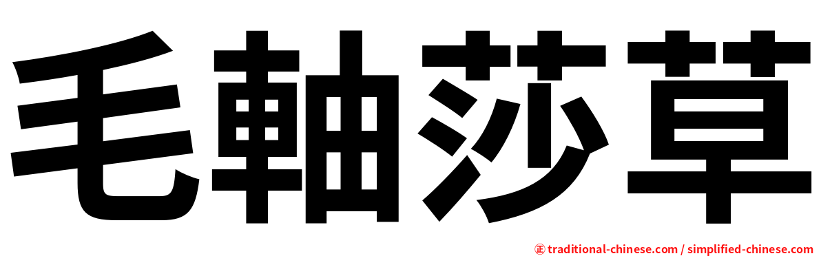 毛軸莎草