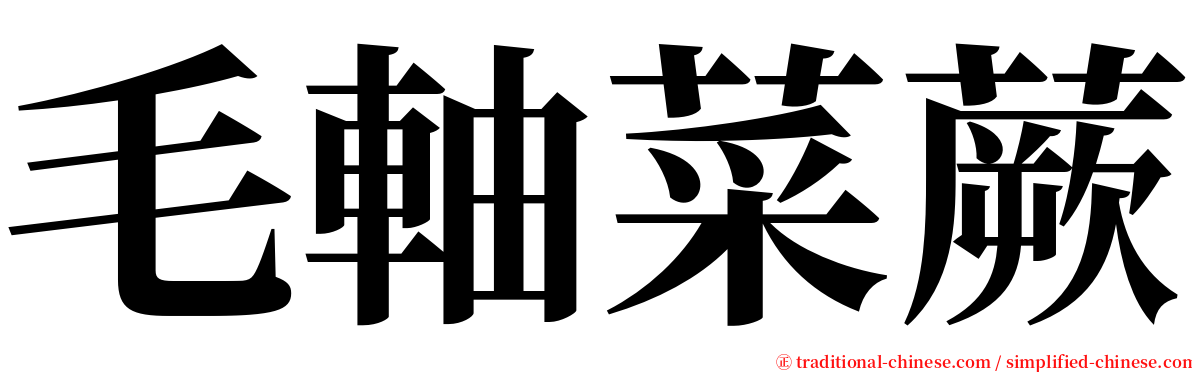 毛軸菜蕨 serif font