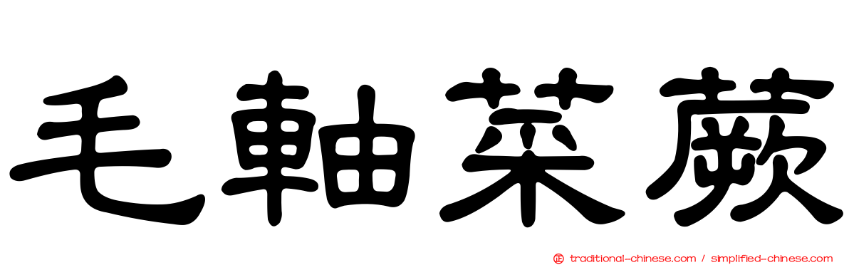 毛軸菜蕨