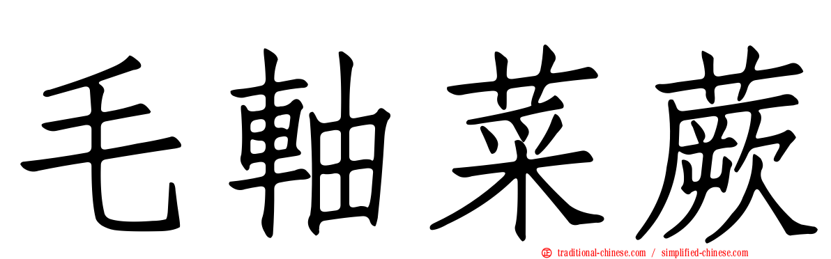 毛軸菜蕨