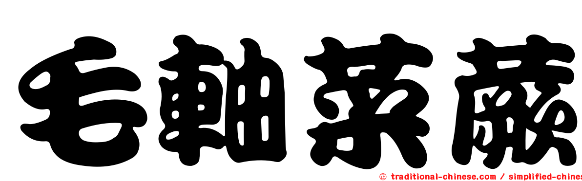 毛軸菜蕨