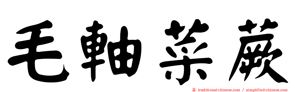 毛軸菜蕨