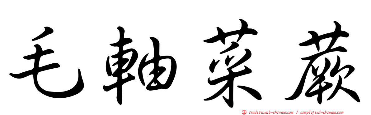 毛軸菜蕨