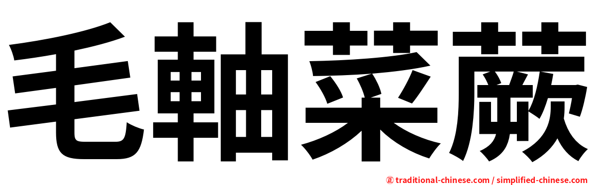 毛軸菜蕨