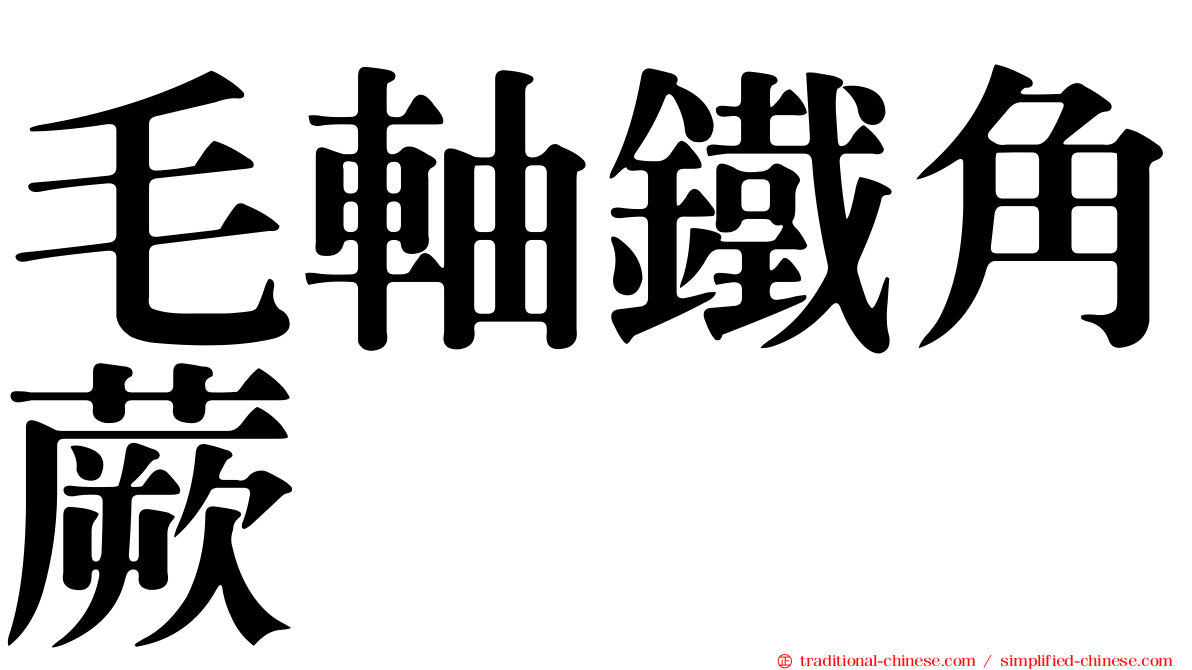 毛軸鐵角蕨