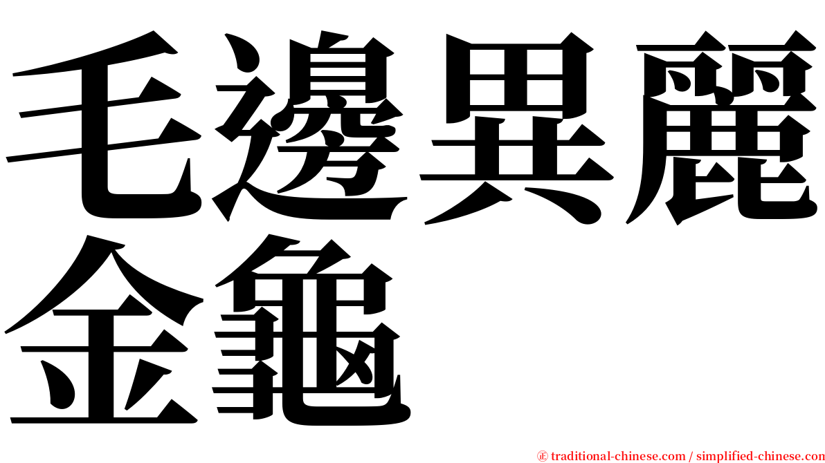 毛邊異麗金龜 serif font