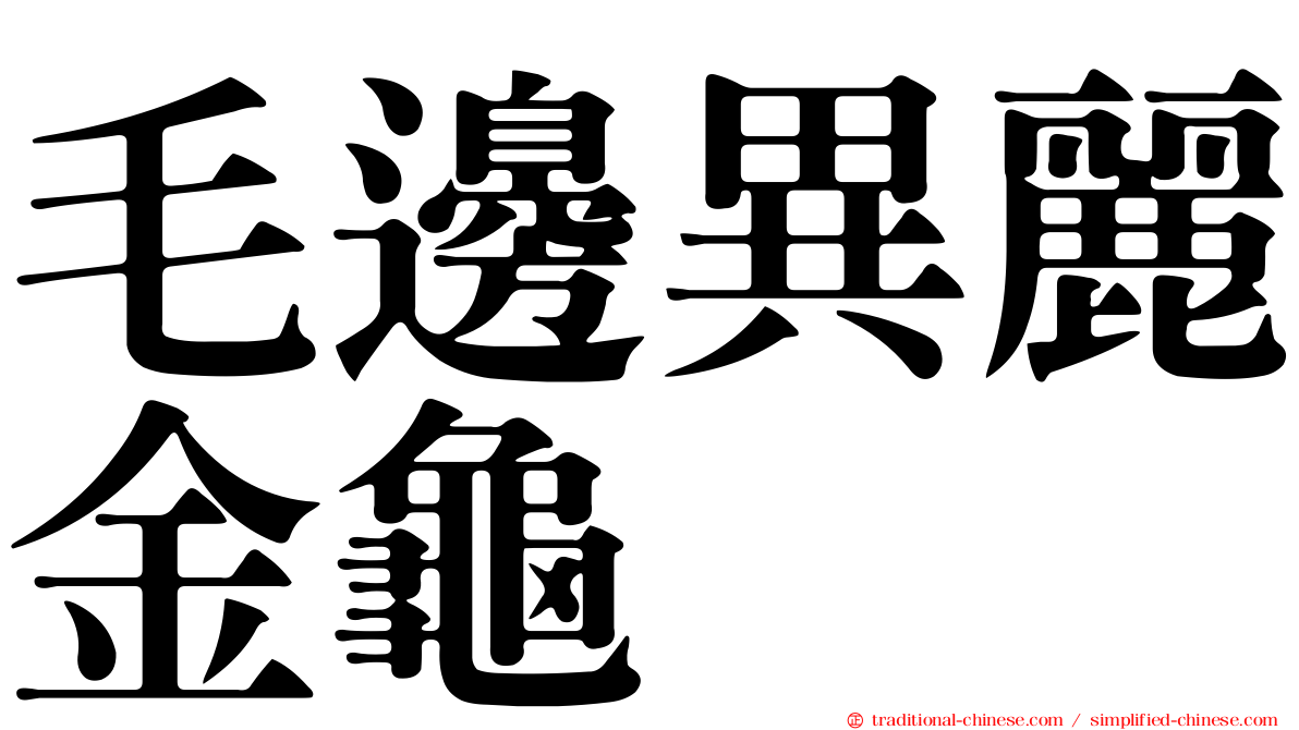 毛邊異麗金龜