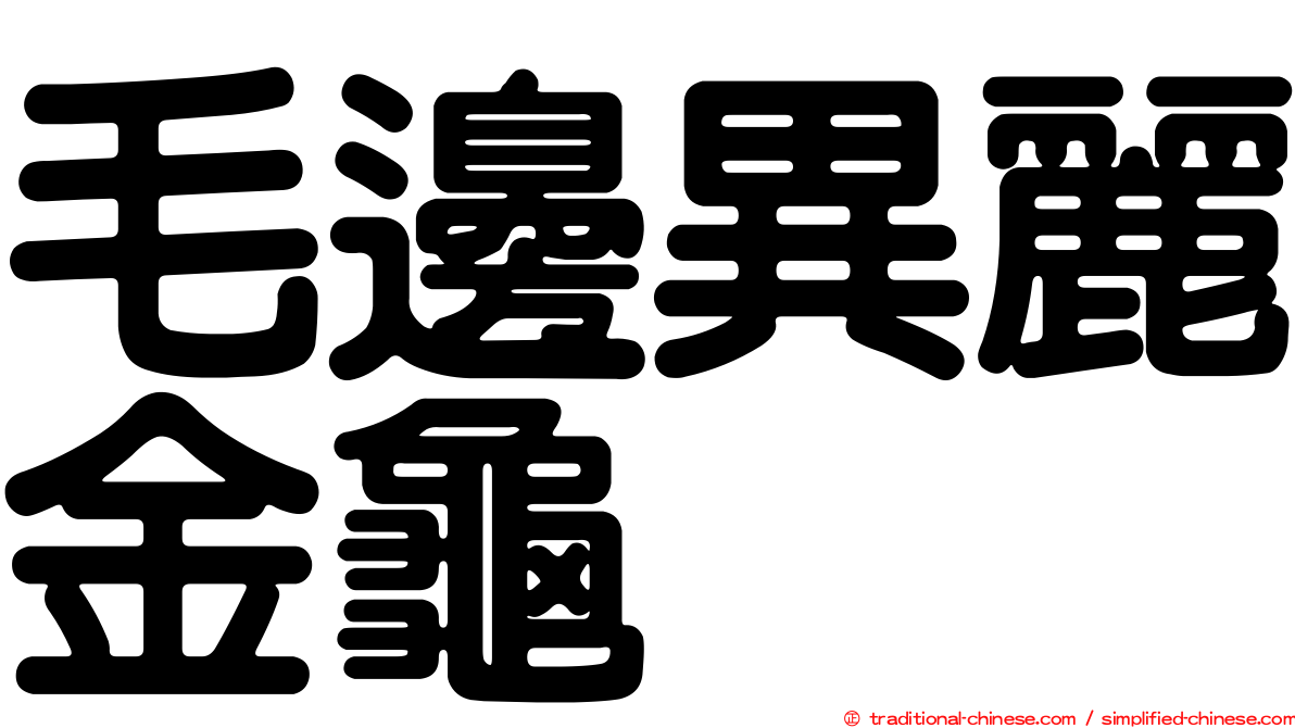 毛邊異麗金龜