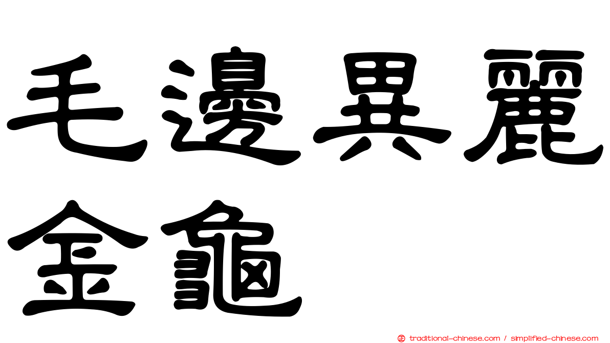 毛邊異麗金龜