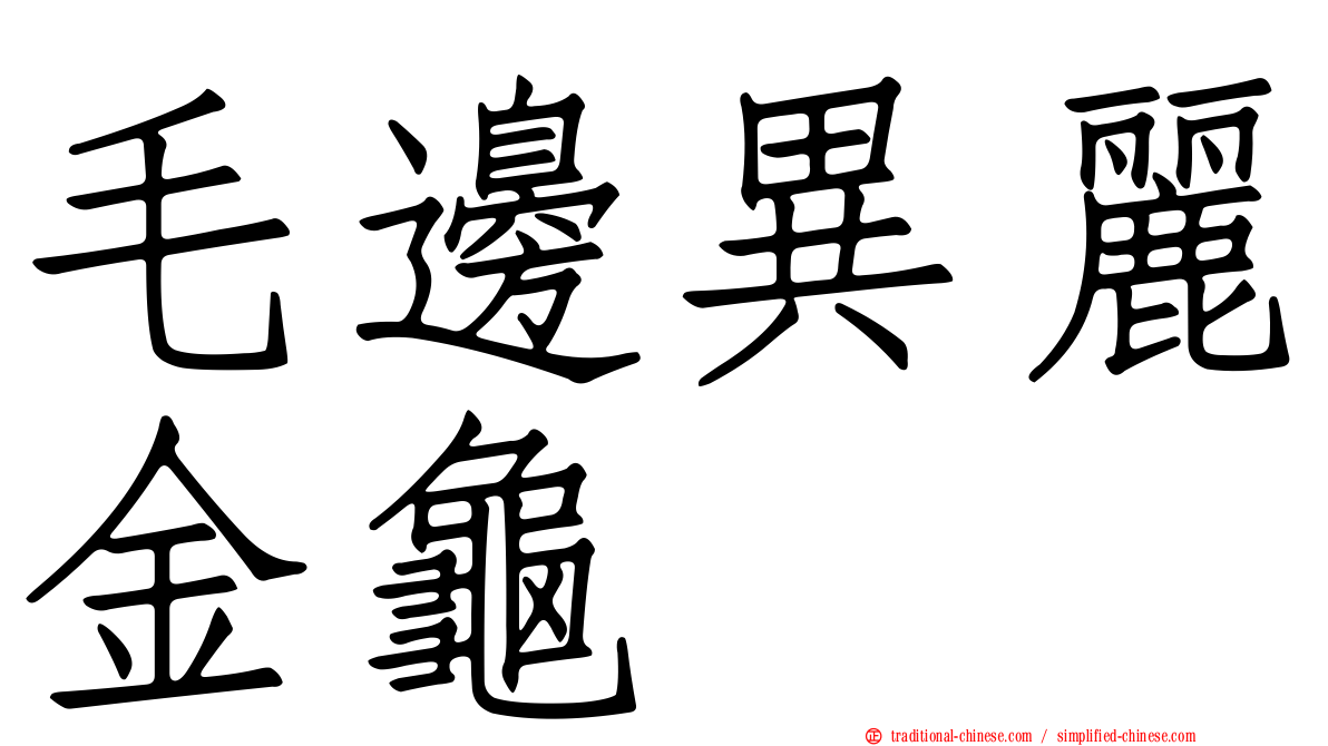 毛邊異麗金龜