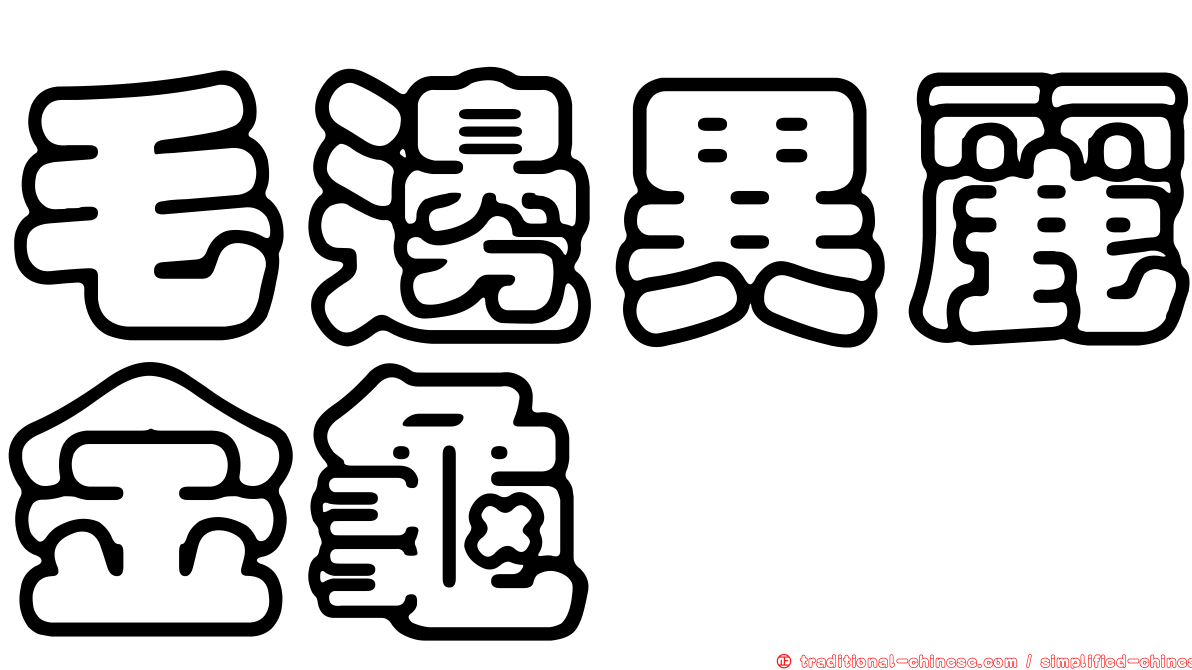 毛邊異麗金龜