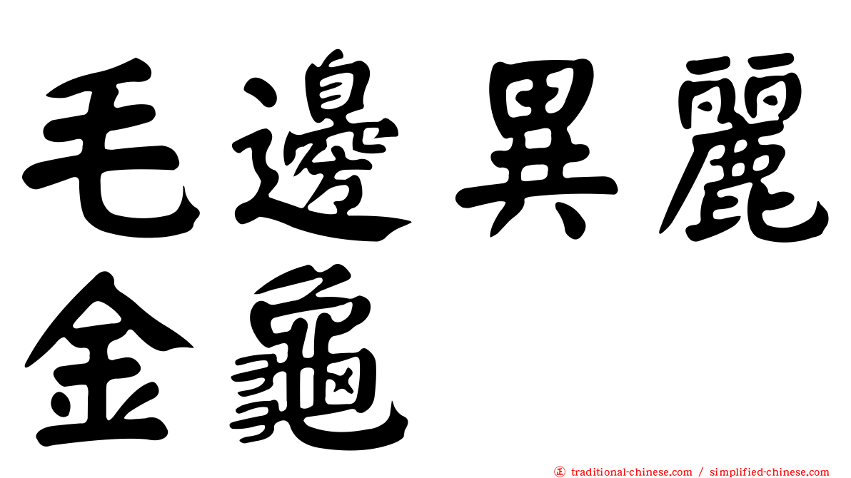 毛邊異麗金龜
