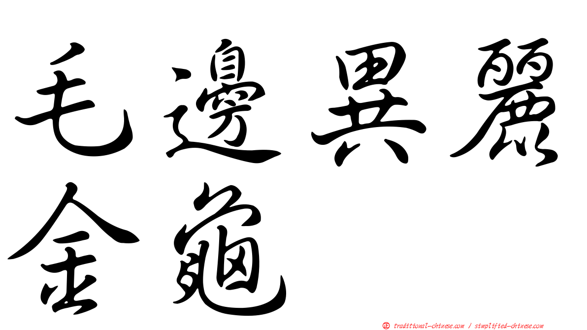 毛邊異麗金龜