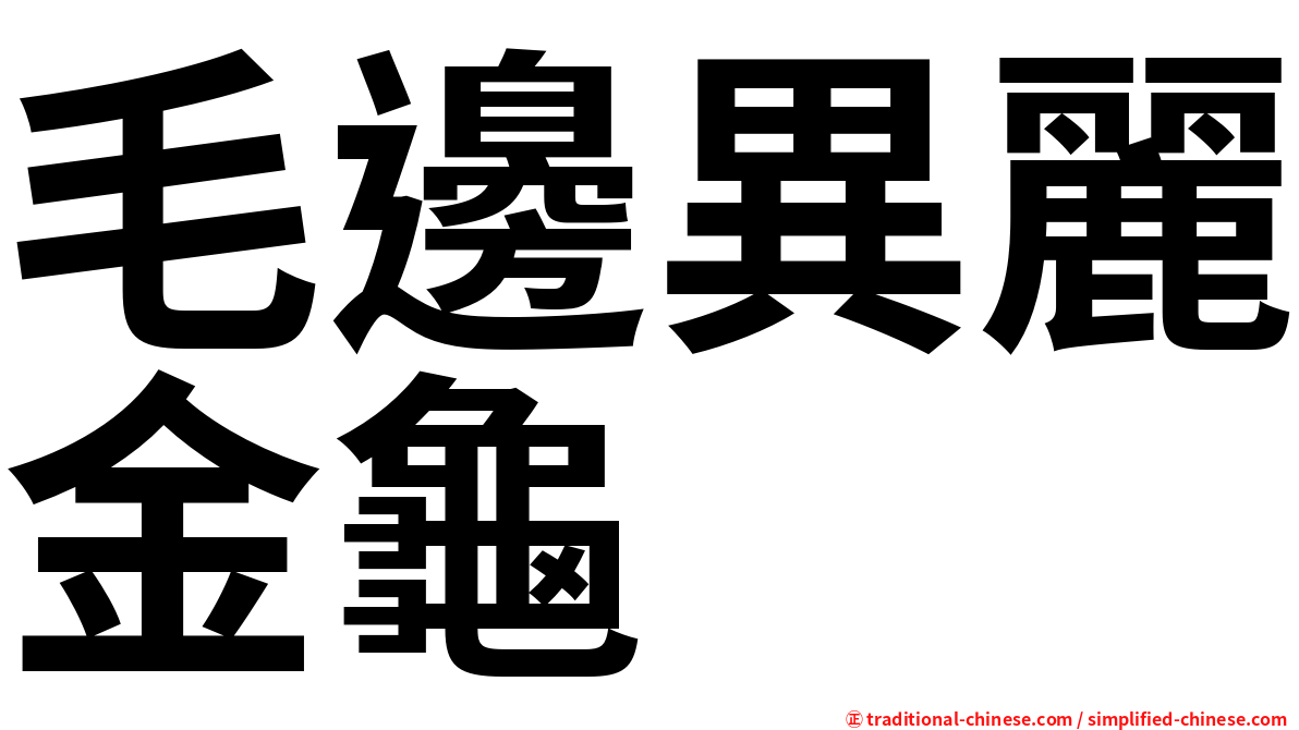 毛邊異麗金龜