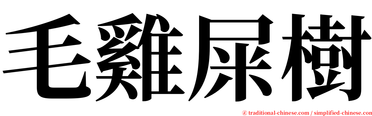 毛雞屎樹 serif font
