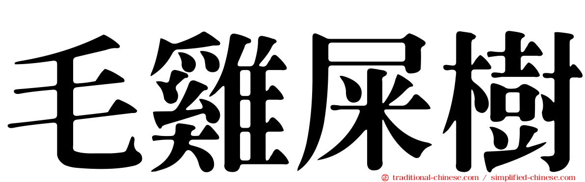 毛雞屎樹
