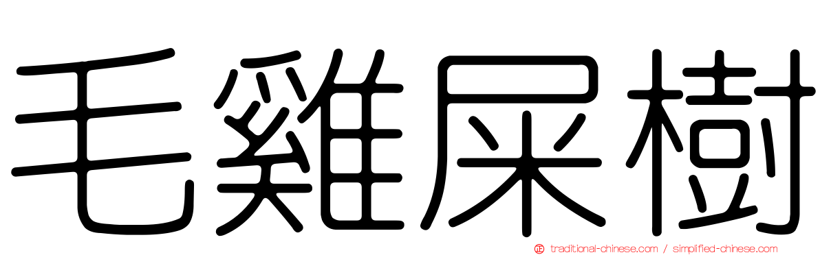 毛雞屎樹