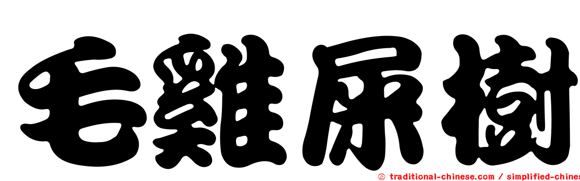 毛雞屎樹