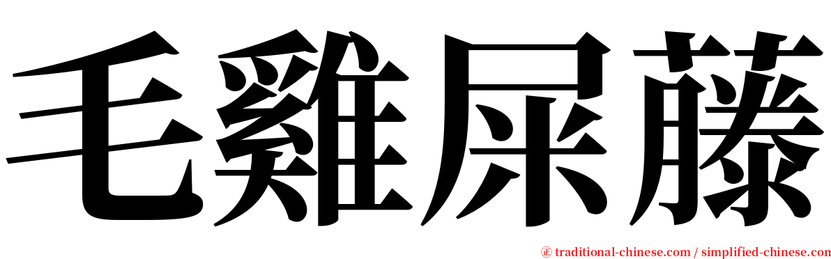 毛雞屎藤 serif font
