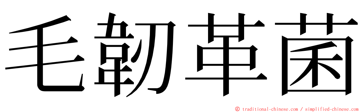毛韌革菌 ming font